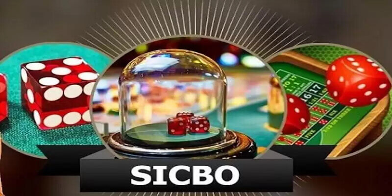 Tham gia nhóm kéo sicbo để học hỏi cách cược 